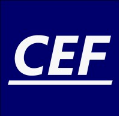 CEF Solutions Inc.
