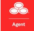 State Farm Agent